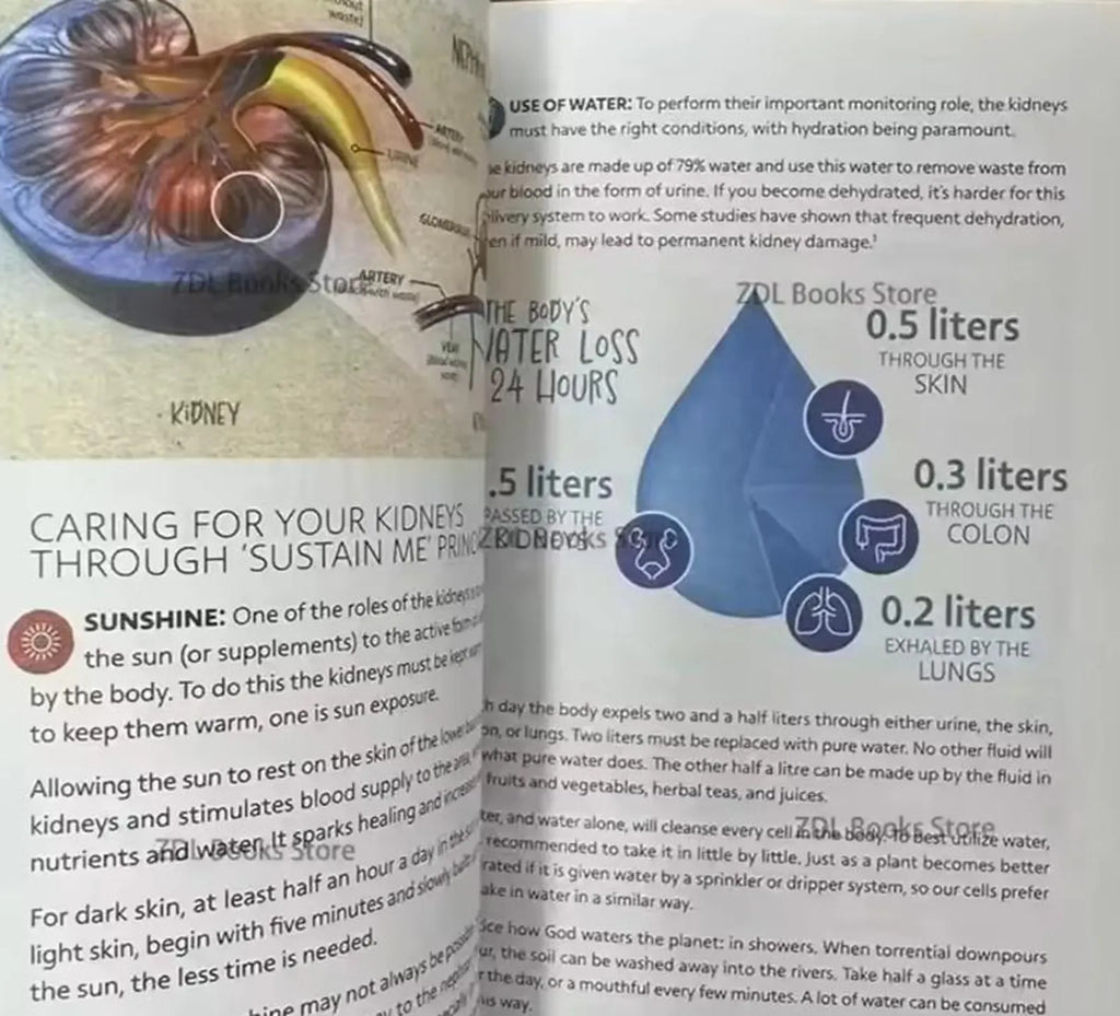 2 books Sustain me & self heal book by barbara o neil health remedies copy paperback