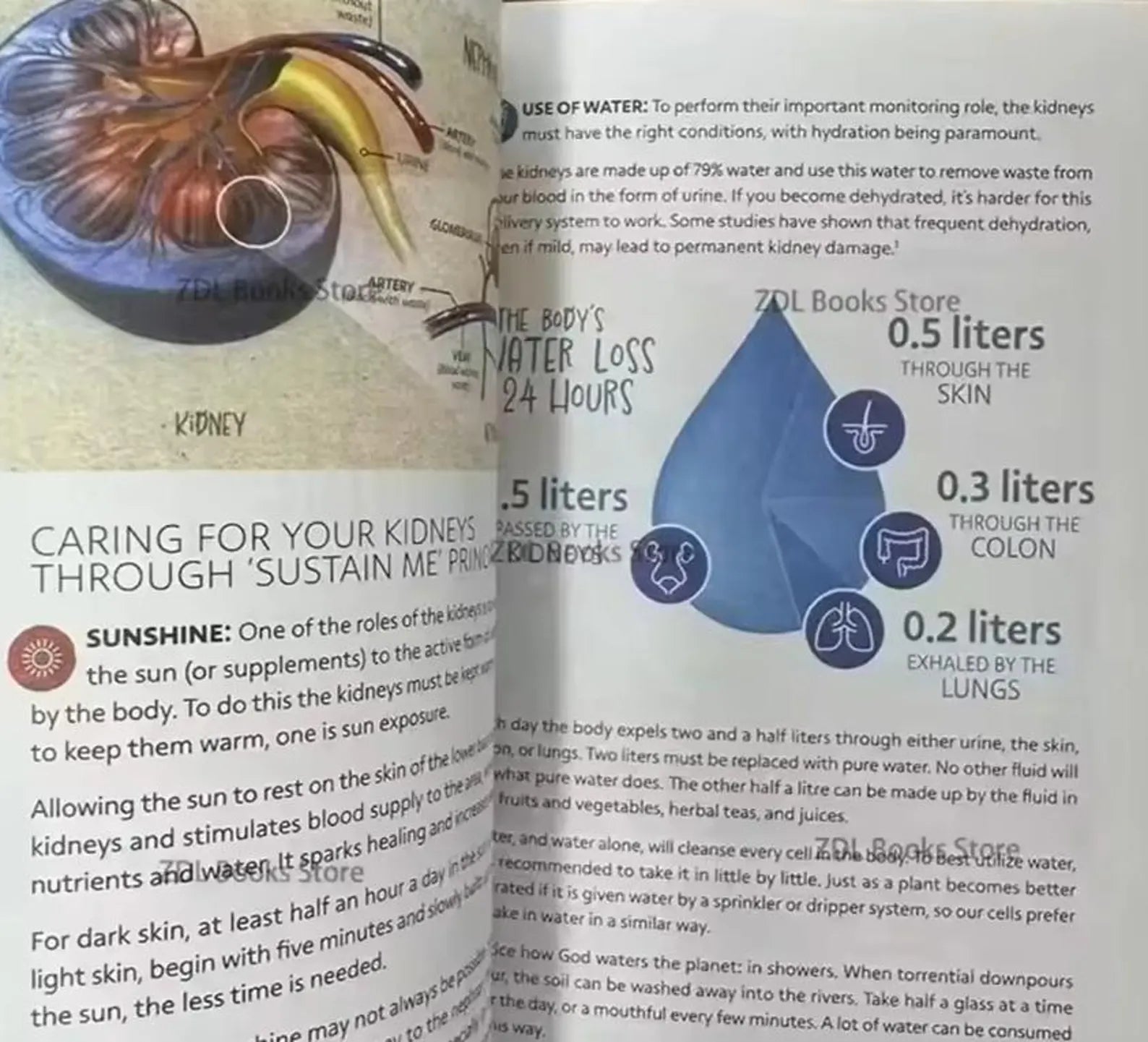 2 books Sustain me & self heal book by barbara o neil health remedies copy paperback