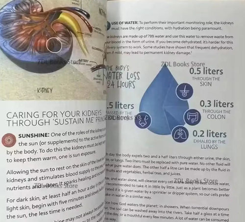 2 books Sustain me & self heal book by barbara o neil health remedies copy paperback